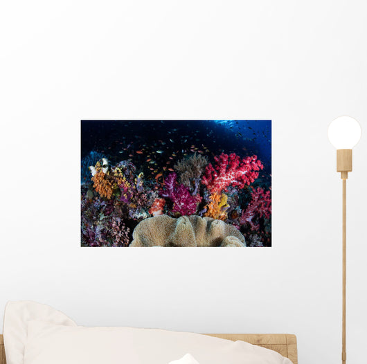 Colorful and Healthy Coral Wall Decal Design 1