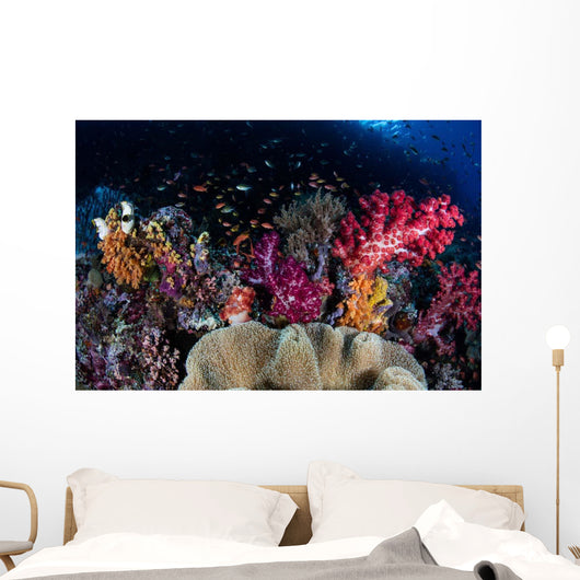 Colorful and Healthy Coral Wall Decal Design 1