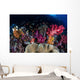 Colorful and Healthy Coral Wall Decal Design 1