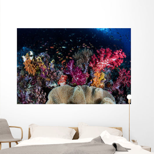 Colorful and Healthy Coral Wall Decal Design 1