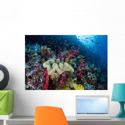 Beautiful and Healthy Coral Wall Decal Design 3 shown on a wall