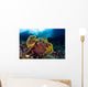 Beautiful Gorgonian Grows Reef Wall Decal
