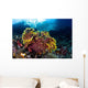 Beautiful Gorgonian Grows Reef Wall Decal