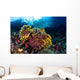 Beautiful Gorgonian Grows Reef Wall Decal