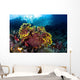 Beautiful Gorgonian Grows Reef Wall Decal