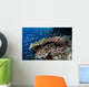 Reef Fish Swim above Wall Decal
