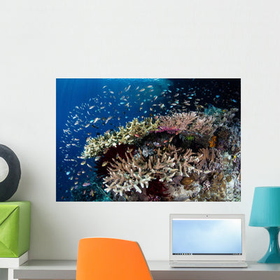 Reef Fish Swim above Wall Decal shown on a wall