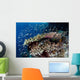 Reef Fish Swim above Wall Decal