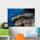 Reef Fish Swim above Wall Decal