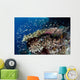 Reef Fish Swim above Wall Decal