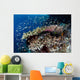 Reef Fish Swim above Wall Decal