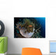 False Clownfish Amphiprion Ocellaris Wall Decal