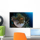 False Clownfish Amphiprion Ocellaris Wall Decal