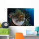 False Clownfish Amphiprion Ocellaris Wall Decal