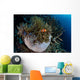 False Clownfish Amphiprion Ocellaris Wall Decal