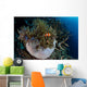 False Clownfish Amphiprion Ocellaris Wall Decal