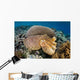 Broadclub Cuttlefish Uses Camouflage Wall Decal