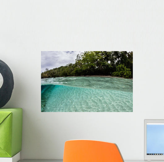 Clear Water Bathes Tropical Wall Decal