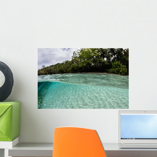 Clear Water Bathes Tropical Wall Decal
