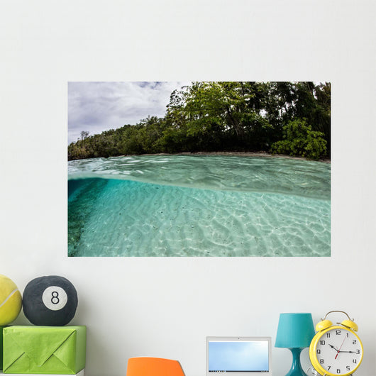 Clear Water Bathes Tropical Wall Decal
