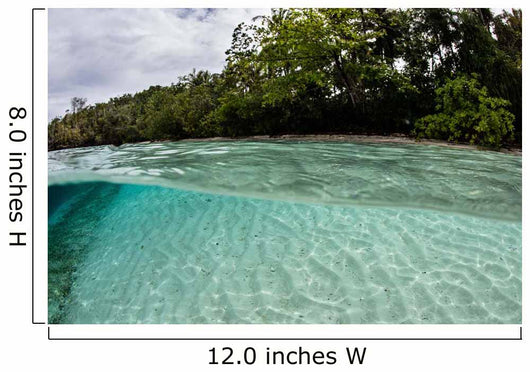 Clear Water Bathes Tropical Wall Decal