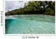 Clear Water Bathes Tropical Wall Decal