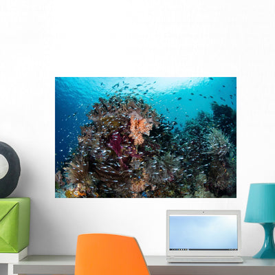 Beautiful and Healthy Coral Wall Decal Design 2 shown on a wall