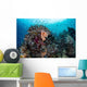 Beautiful and Healthy Coral Wall Decal Design 2