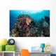 Beautiful and Healthy Coral Wall Decal Design 2