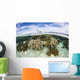 Variety Corals Grow Shallow Wall Decal Design 4