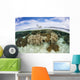 Variety Corals Grow Shallow Wall Decal Design 4