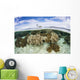 Variety Corals Grow Shallow Wall Decal Design 4