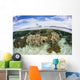 Variety Corals Grow Shallow Wall Decal Design 4