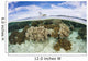 Variety Corals Grow Shallow Wall Decal Design 4
