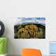 Variety Corals Grow Shallow Wall Decal Design 3
