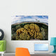 Variety Corals Grow Shallow Wall Decal Design 3