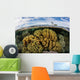 Variety Corals Grow Shallow Wall Decal Design 3