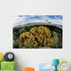 Variety Corals Grow Shallow Wall Decal Design 3