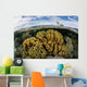 Variety Corals Grow Shallow Wall Decal Design 3