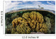 Variety Corals Grow Shallow Wall Decal Design 3