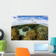Variety Corals Grow Shallow Wall Decal Design 2