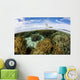 Variety Corals Grow Shallow Wall Decal Design 2