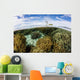 Variety Corals Grow Shallow Wall Decal Design 2