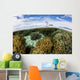 Variety Corals Grow Shallow Wall Decal Design 2