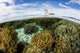 Variety Corals Grow Shallow Wall Decal Design 2