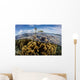 Colony Fire Corals Grows Wall Decal
