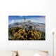 Colony Fire Corals Grows Wall Decal