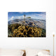 Colony Fire Corals Grows Wall Decal