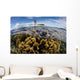 Colony Fire Corals Grows Wall Decal