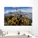 Colony Fire Corals Grows Wall Decal